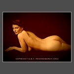 Click To View Enlargement