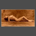 Click To View Enlargement