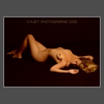 Click To View Enlargement