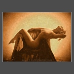 Click To View Enlargement