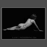 Click To View Enlargement
