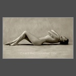 Click To View Enlargement